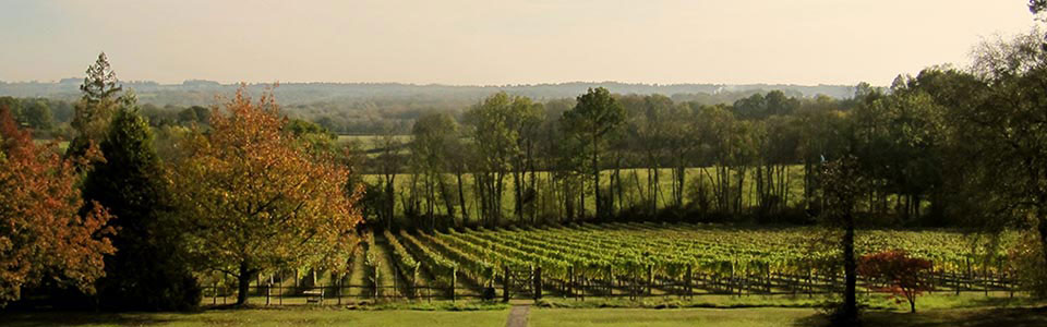 home-banner1